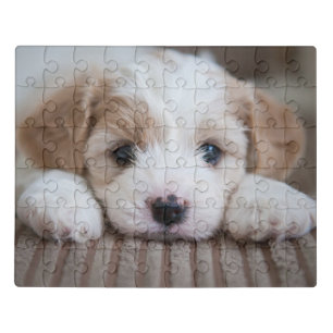 Cutest Baby Animals Cavashon Puppy Jigsaw Puzzle