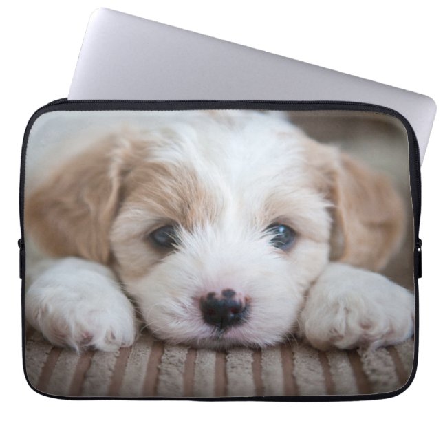 Cutest Baby Animals | Cavashon Puppy Laptop Sleeve (Front)