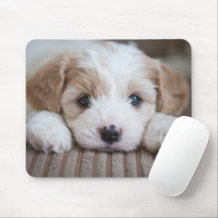 Cutest Baby Animals Cavashon Puppy Mouse Pad