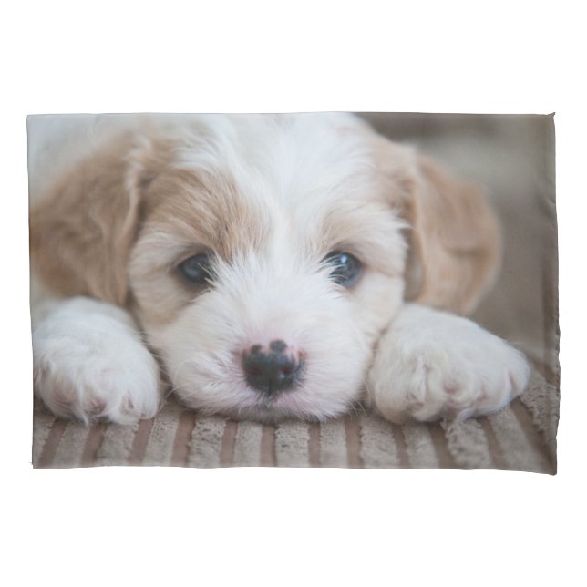 Cutest Baby Animals | Cavashon Puppy Pillow Case (Front)