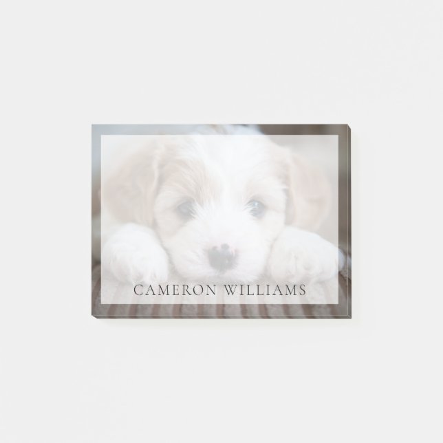 Cutest Baby Animals | Cavashon Puppy Post-it Notes (Front)