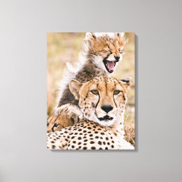 Cutest Baby Animals | Cheetah Cat &amp; Cub Canvas Print