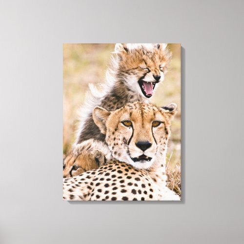 Cutest Baby Animals  Cheetah Cat  Cub Canvas Print