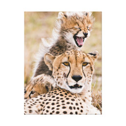 Cutest Baby Animals | Cheetah Cat &amp; Cub Canvas Print