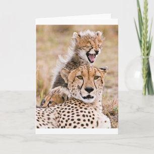 Cutest Baby Animals   Cheetah Cat & Cub Card