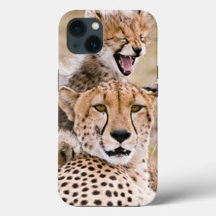 Cutest Baby Animals   Cheetah Cat & Cub iPhone 13 Case