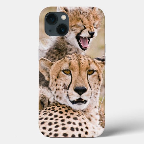 Cutest Baby Animals  Cheetah Cat  Cub iPhone 13 Case