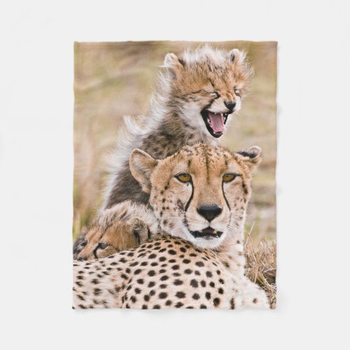 Cutest Baby Animals  Cheetah Cat  Cub Fleece Blanket