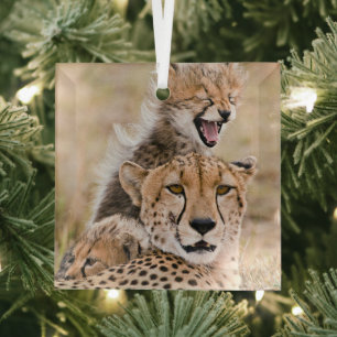 Cutest Baby Animals Cheetah Cat & Cub Glass Ornament