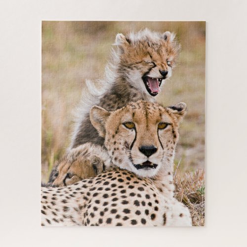Cutest Baby Animals  Cheetah Cat  Cub Jigsaw Puzzle