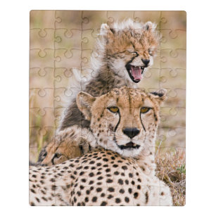 Cheetah cat outlet rat puzzle