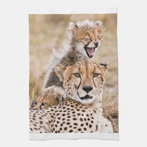 Cutest Baby Animals  Cheetah Cat  Cub Kitchen Towel