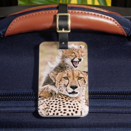 Cutest Baby Animals  Cheetah Cat  Cub Luggage Tag