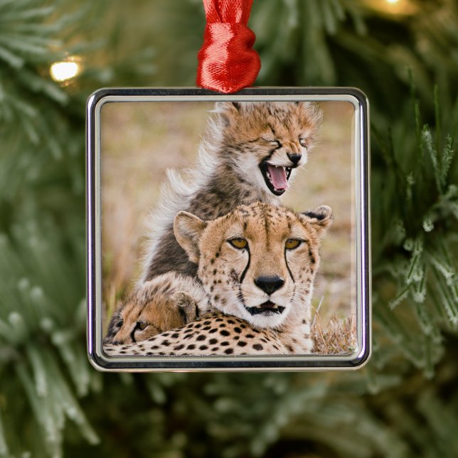 Cutest Baby Animals | Cheetah Cat & Cub Metal Ornament (Tree)