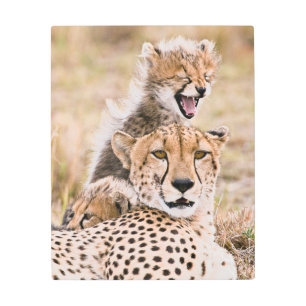 Cutest Baby Animals Cheetah Cat & Cub Metal Print