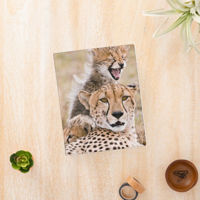 Cutest Baby Animals | Cheetah Cat & Cub Mini Binder (InSitu)