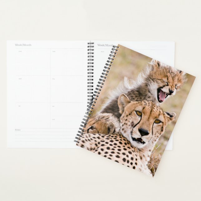 Cutest Baby Animals | Cheetah Cat & Cub Planner (Display)