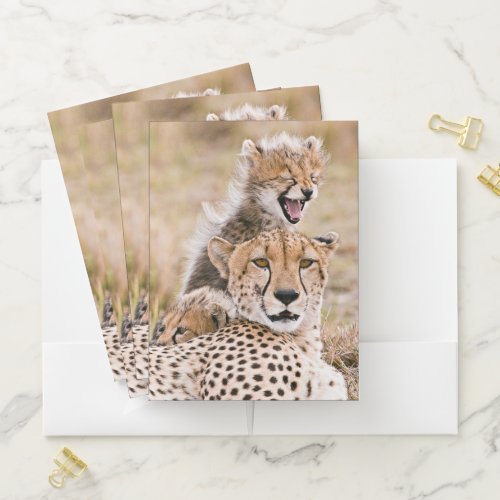 Cutest Baby Animals  Cheetah Cat  Cub Pocket Folder