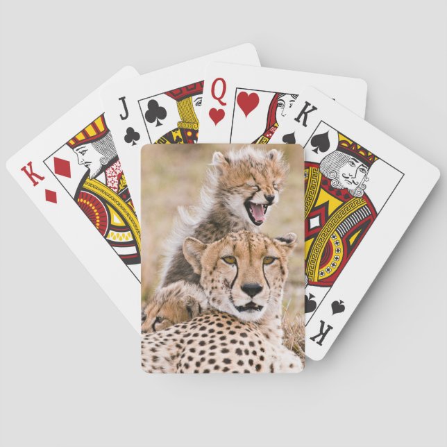 Cutest Baby Animals | Cheetah Cat & Cub Poker Cards (Back)