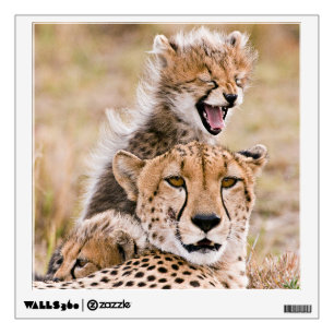 Cutest Baby Animals Cheetah Cat & Cub Wall Decal