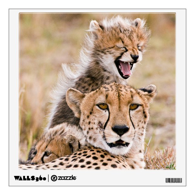 Cutest Baby Animals | Cheetah Cat & Cub Wall Decal (Front)