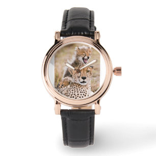 Cutest Baby Animals Cheetah Cat & Cub Watch