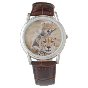 Cutest Baby Animals Cheetah Cat & Cub Watch