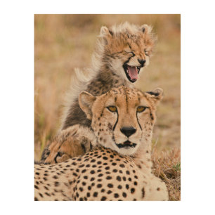 Cutest Baby Animals Cheetah Cat & Cub Wood Wall Art