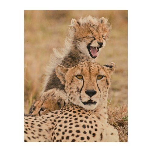 Cutest Baby Animals  Cheetah Cat  Cub Wood Wall Art