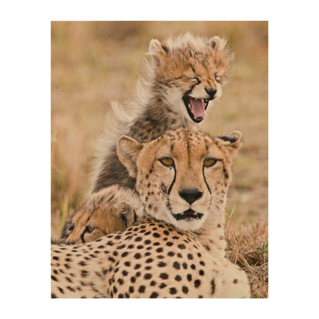 Cutest Baby Animals | Cheetah Cat & Cub Wood Wall Art (Front)