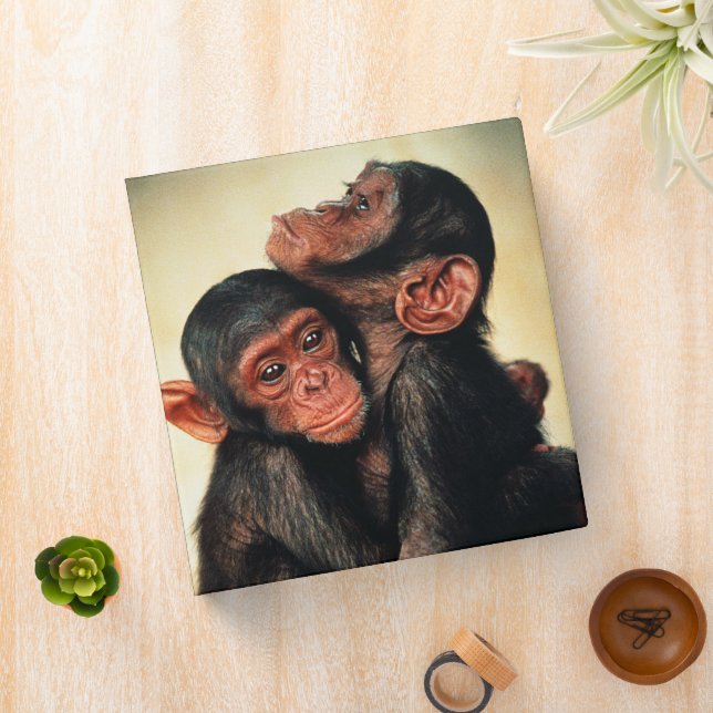 Cutest Baby Animals | Chimpanzee Hug 3 Ring Binder (In Situ)