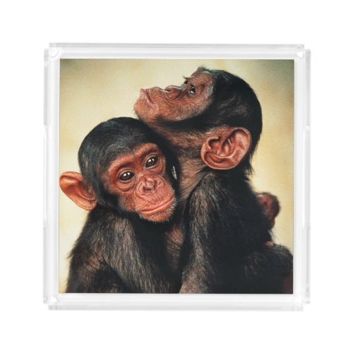 Cutest Baby Animals  Chimpanzee Hug Acrylic Tray