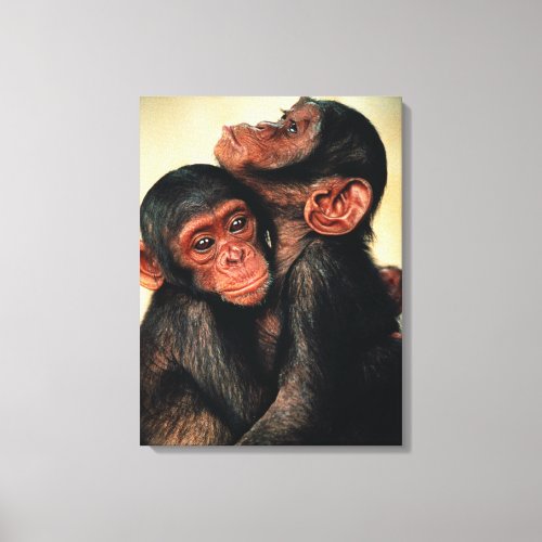 Cutest Baby Animals  Chimpanzee Hug Canvas Print