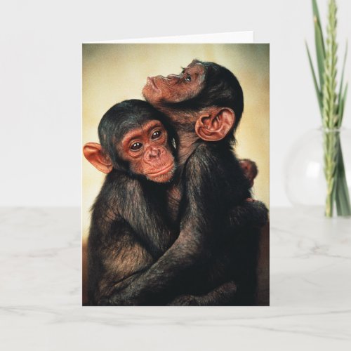 Cutest Baby Animals  Chimpanzee Hug Card