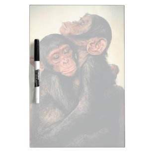 Cutest Baby Animals   Chimpanzee Hug Dry Erase Board