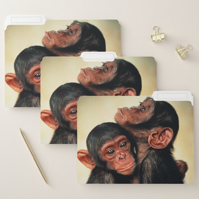 Cutest Baby Animals | Chimpanzee Hug File Folder (Set)