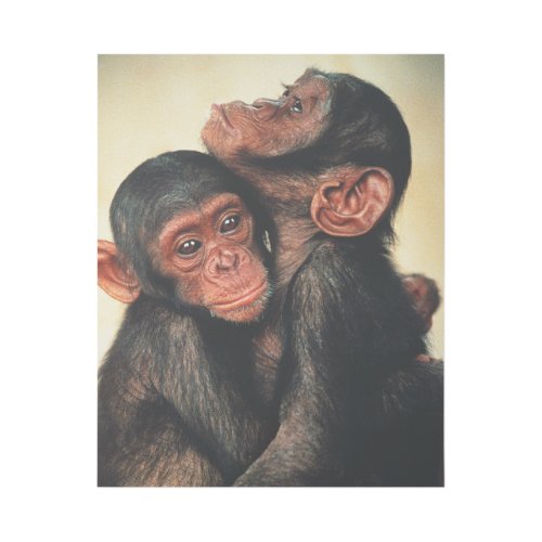 Cutest Baby Animals  Chimpanzee Hug Gallery Wrap