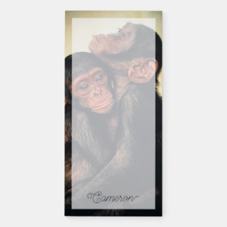 Cutest Baby Animals | Chimpanzee Hug Magnetic Notepad