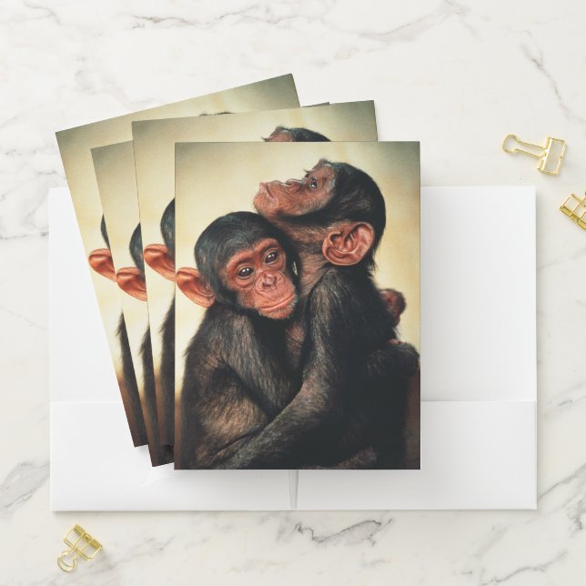 Cutest Baby Animals | Chimpanzee Hug Pocket Folder (In Situ)