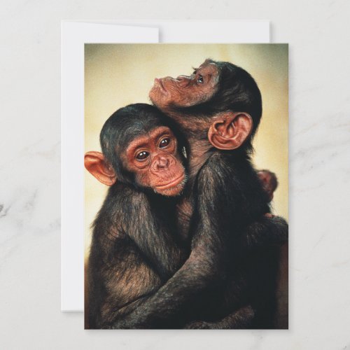 Cutest Baby Animals  Chimpanzee Hug Thank You Card