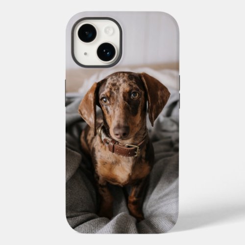 Cutest Baby Animals  Chocolate Dapple Dachshund Case_Mate iPhone 14 Case