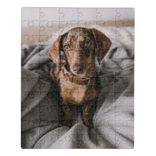 Cutest Baby Animals Chocolate Dapple Dachshund Jigsaw Puzzle