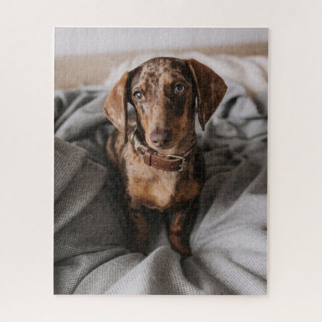 Cutest Baby Animals | Chocolate Dapple Dachshund Jigsaw Puzzle (Vertical)