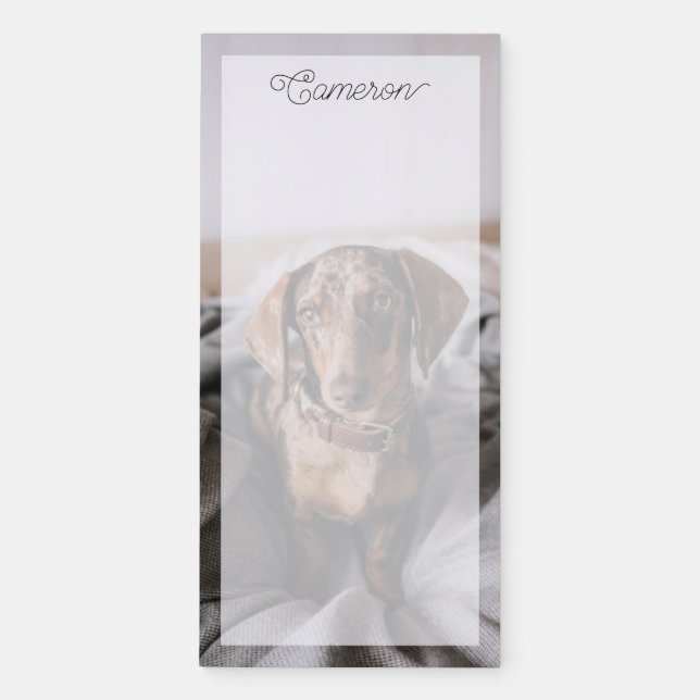 Cutest Baby Animals | Chocolate Dapple Dachshund Magnetic Notepad (Front)