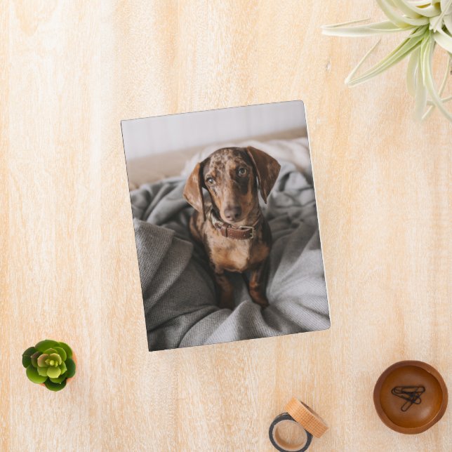 Cutest Baby Animals | Chocolate Dapple Dachshund Mini Binder (InSitu)
