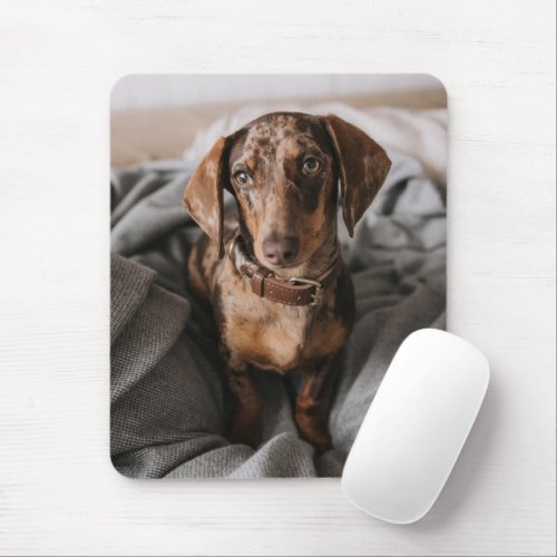 Cutest Baby Animals  Chocolate Dapple Dachshund Mouse Pad