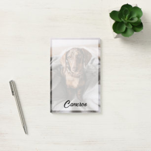 Cutest Baby Animals Chocolate Dapple Dachshund Post-it Notes
