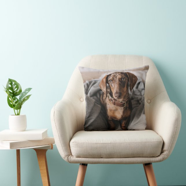 Cutest Baby Animals | Chocolate Dapple Dachshund Throw Pillow (Chair)