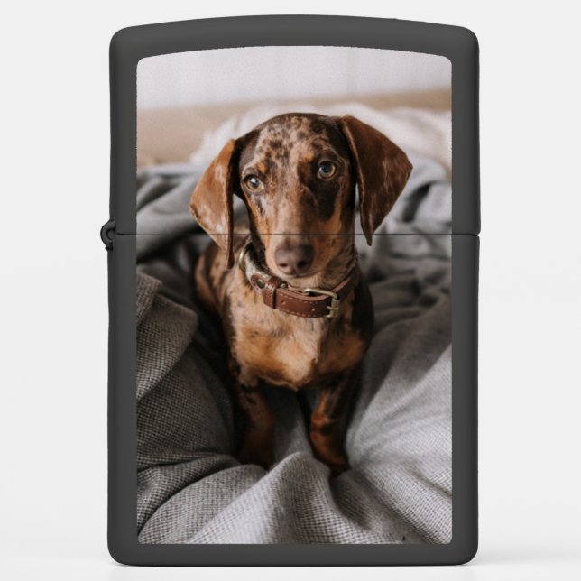 Cutest Baby Animals | Chocolate Dapple Dachshund Zippo Lighter (Front)