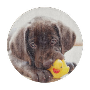 Cutest Baby Animals Chocolate Labrador Puppy Cutting Board